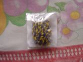 CORDA LING FULL